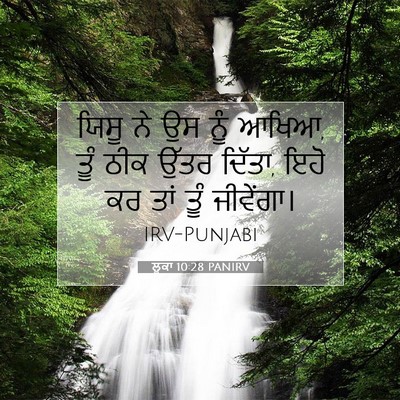 Picture 07 - ਲੂਕਾ 10:28 PANIRV - ਯਿਸੂ ਨੇ ਉਸ ਨੂੰ - Bible Verse Picture