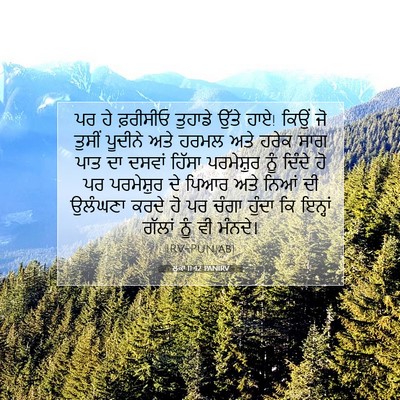 Picture 07 - ਲੂਕਾ 11:42 PANIRV - ਪਰ ਹੇ ਫ਼ਰੀਸੀਓ - Bible Verse Picture