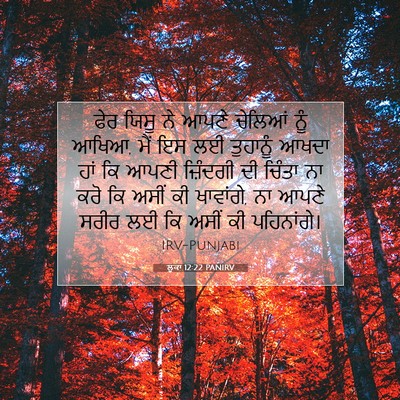 Picture 07 - ਲੂਕਾ 12:22 PANIRV - ਫੇਰ ਯਿਸੂ ਨੇ ਆਪਣੇ - Bible Verse Picture