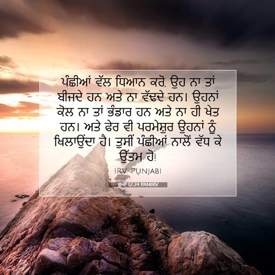 Picture 07 - ਲੂਕਾ 12:24 PANIRV - ਪੰਛੀਆਂ ਵੱਲ ਧਿਆਨ - Bible Verse Picture