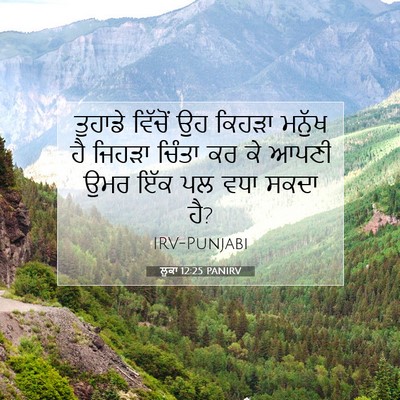 Picture 07 - ਲੂਕਾ 12:25 PANIRV - ਤੁਹਾਡੇ ਵਿੱਚੋਂ ਉਹ - Bible Verse Picture