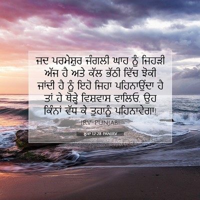 Picture 07 - ਲੂਕਾ 12:28 PANIRV - ਜਦ ਪਰਮੇਸ਼ੁਰ ਜੰਗਲੀ - Bible Verse Picture