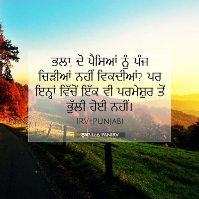 Picture 07 - ਲੂਕਾ 12:6 PANIRV - ਭਲਾ, ਦੋ ਪੈਸਿਆਂ ਨੂੰ - Bible Verse Picture