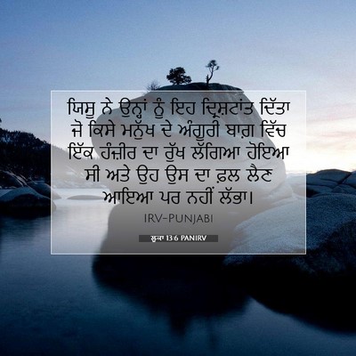 Picture 07 - ਲੂਕਾ 13:6 PANIRV - ਯਿਸੂ ਨੇ ਉਨ੍ਹਾਂ ਨੂੰ - Bible Verse Picture