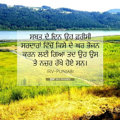 Picture 07 - ਲੂਕਾ 14:1 PANIRV - ਸਬਤ ਦੇ ਦਿਨ ਉਹ - Bible Verse Picture