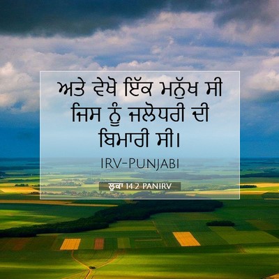 Picture 07 - ਲੂਕਾ 14:2 PANIRV - ਅਤੇ ਵੇਖੋ ਇੱਕ ਮਨੁੱਖ - Bible Verse Picture