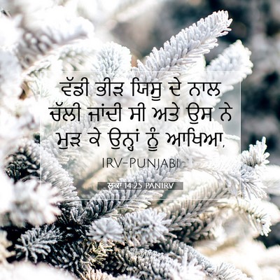 Picture 07 - ਲੂਕਾ 14:25 PANIRV - ਵੱਡੀ ਭੀੜ ਯਿਸੂ ਦੇ - Bible Verse Picture