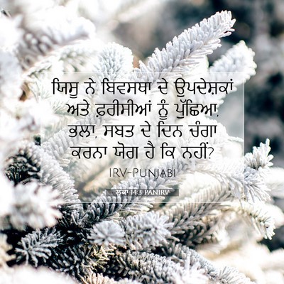 Picture 07 - ਲੂਕਾ 14:3 PANIRV - ਯਿਸੂ ਨੇ ਬਿਵਸਥਾ ਦੇ - Bible Verse Picture