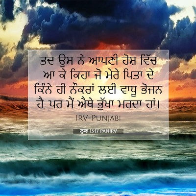 Picture 07 - ਲੂਕਾ 15:17 PANIRV - ਤਦ ਉਸ ਨੇ ਆਪਣੀ ਹੋਸ਼ - Bible Verse Picture