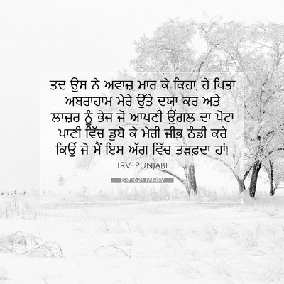 Picture 07 - ਲੂਕਾ 16:24 PANIRV - ਤਦ ਉਸ ਨੇ ਅਵਾਜ਼ ਮਾਰ - Bible Verse Picture