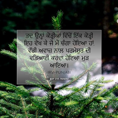 Picture 07 - ਲੂਕਾ 17:15 PANIRV - ਤਦ ਉਨ੍ਹਾਂ - Bible Verse Picture