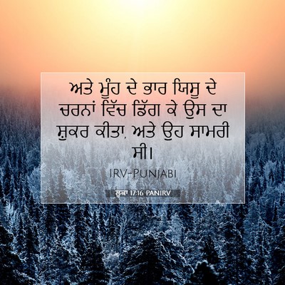 Picture 07 - ਲੂਕਾ 17:16 PANIRV - ਅਤੇ ਮੂੰਹ ਦੇ ਭਾਰ - Bible Verse Picture