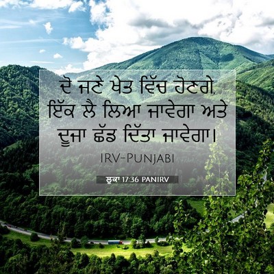 Picture 07 - ਲੂਕਾ 17:36 PANIRV - ਦੋ ਜਣੇ ਖੇਤ ਵਿੱਚ - Bible Verse Picture