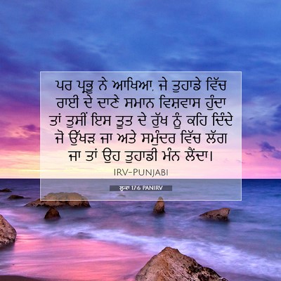 Picture 07 - ਲੂਕਾ 17:6 PANIRV - ਪਰ ਪ੍ਰਭੂ ਨੇ ਆਖਿਆ, - Bible Verse Picture