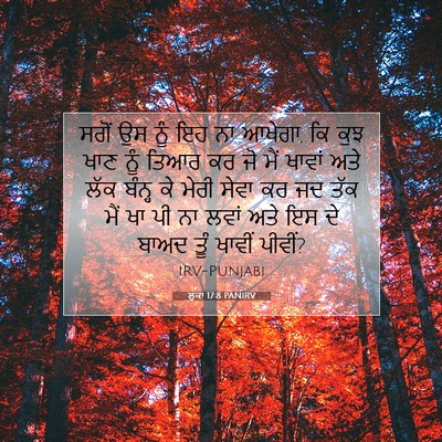 Picture 07 - ਲੂਕਾ 17:8 PANIRV - ਸਗੋਂ ਉਸ ਨੂੰ ਇਹ ਨਾ - Bible Verse Picture