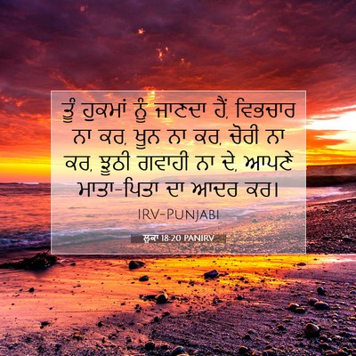 Picture 07 - ਲੂਕਾ 18:20 PANIRV - ਤੂੰ ਹੁਕਮਾਂ ਨੂੰ - Bible Verse Picture