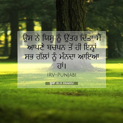 Picture 07 - ਲੂਕਾ 18:21 PANIRV - ਉਸ ਨੇ ਯਿਸੂ ਨੂੰ ਉੱਤਰ - Bible Verse Picture