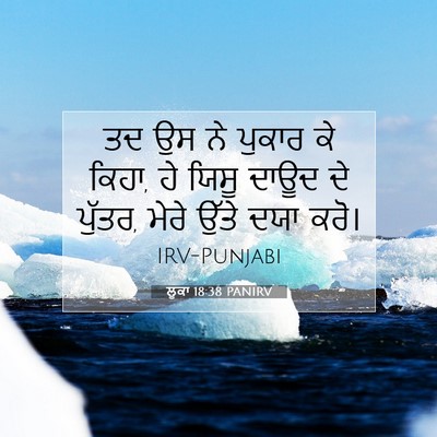 Picture 07 - ਲੂਕਾ 18:38 PANIRV - ਤਦ ਉਸ ਨੇ ਪੁਕਾਰ ਕੇ - Bible Verse Picture