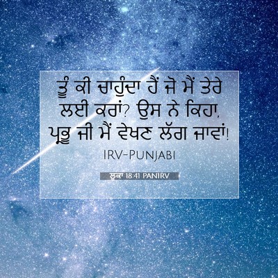 Picture 07 - ਲੂਕਾ 18:41 PANIRV - ਤੂੰ ਕੀ ਚਾਹੁੰਦਾ ਹੈਂ - Bible Verse Picture