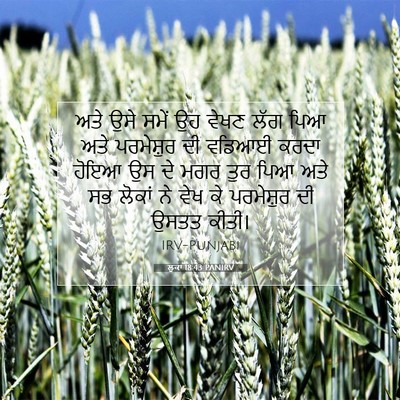 Picture 07 - ਲੂਕਾ 18:43 PANIRV - ਅਤੇ ਉਸੇ ਸਮੇਂ ਉਹ - Bible Verse Picture