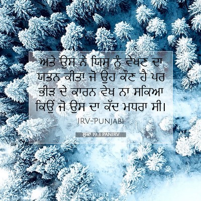 Picture 07 - ਲੂਕਾ 19:3 PANIRV - ਅਤੇ ਉਸ ਨੇ ਯਿਸੂ ਨੂੰ - Bible Verse Picture