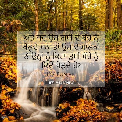 Picture 07 - ਲੂਕਾ 19:33 PANIRV - ਅਤੇ ਜਦ ਉਸ ਗਧੀ ਦੇ - Bible Verse Picture