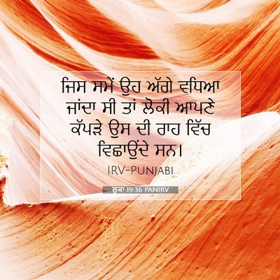 Picture 07 - ਲੂਕਾ 19:36 PANIRV - ਜਿਸ ਸਮੇਂ ਉਹ ਅੱਗੇ - Bible Verse Picture