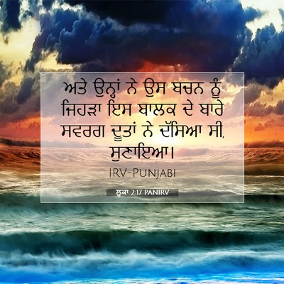 Picture 07 - ਲੂਕਾ 2:17 PANIRV - ਅਤੇ ਉਨ੍ਹਾਂ ਨੇ ਉਸ - Bible Verse Picture