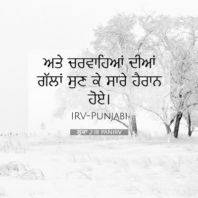 Picture 07 - ਲੂਕਾ 2:18 PANIRV - ਅਤੇ ਚਰਵਾਹਿਆਂ ਦੀਆਂ - Bible Verse Picture