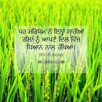 Picture 07 - ਲੂਕਾ 2:19 PANIRV - ਪਰ ਮਰਿਯਮ ਨੇ ਇਨ੍ਹਾਂ - Bible Verse Picture