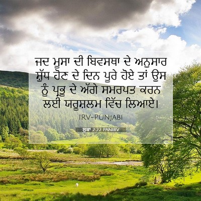 Picture 07 - ਲੂਕਾ 2:22 PANIRV - ਜਦ ਮੂਸਾ ਦੀ ਬਿਵਸਥਾ - Bible Verse Picture