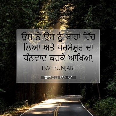 Picture 07 - ਲੂਕਾ 2:28 PANIRV - ਉਸ ਨੇ ਉਸ ਨੂੰ ਬਾਹਾਂ - Bible Verse Picture