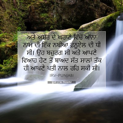 Picture 07 - ਲੂਕਾ 2:36 PANIRV - ਅਤੇ ਅਸ਼ੇਰ ਦੇ ਘਰਾਣੇ - Bible Verse Picture