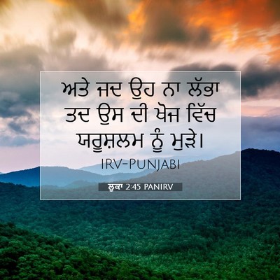 Picture 07 - ਲੂਕਾ 2:45 PANIRV - ਅਤੇ ਜਦ ਉਹ ਨਾ ਲੱਭਾ - Bible Verse Picture