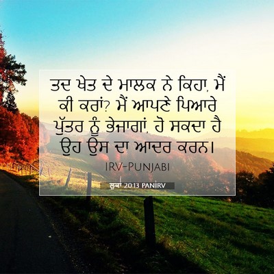 Picture 07 - ਲੂਕਾ 20:13 PANIRV - ਤਦ ਖੇਤ ਦੇ ਮਾਲਕ ਨੇ - Bible Verse Picture