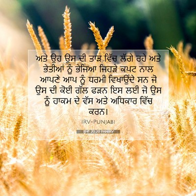 Picture 07 - ਲੂਕਾ 20:20 PANIRV - ਅਤੇ ਉਹ ਉਸ ਦੀ ਤਾੜ - Bible Verse Picture
