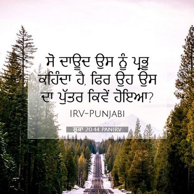 Picture 07 - ਲੂਕਾ 20:44 PANIRV - ਸੋ ਦਾਊਦ ਉਸ ਨੂੰ - Bible Verse Picture