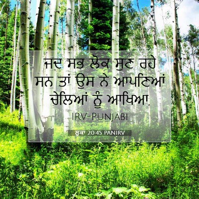Picture 07 - ਲੂਕਾ 20:45 PANIRV - ਜਦ ਸਭ ਲੋਕ ਸੁਣ ਰਹੇ - Bible Verse Picture