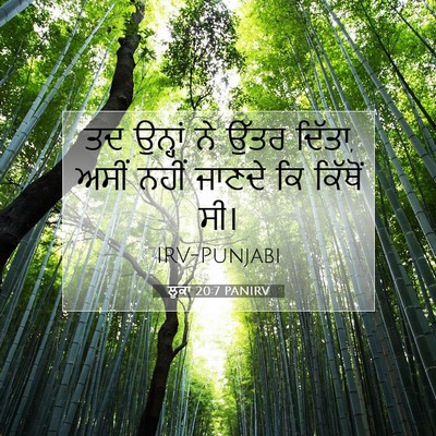Picture 07 - ਲੂਕਾ 20:7 PANIRV - ਤਦ ਉਨ੍ਹਾਂ ਨੇ ਉੱਤਰ - Bible Verse Picture