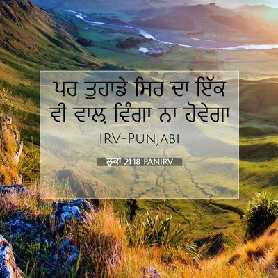 Picture 07 - ਲੂਕਾ 21:18 PANIRV - ਪਰ ਤੁਹਾਡੇ ਸਿਰ ਦਾ - Bible Verse Picture