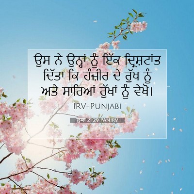 Picture 07 - ਲੂਕਾ 21:29 PANIRV - ਉਸ ਨੇ ਉਨ੍ਹਾਂ ਨੂੰ - Bible Verse Picture