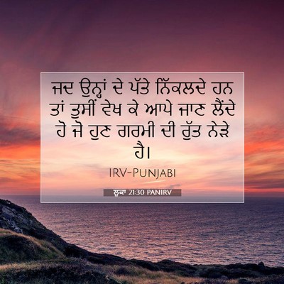 Picture 07 - ਲੂਕਾ 21:30 PANIRV - ਜਦ ਉਨ੍ਹਾਂ ਦੇ ਪੱਤੇ - Bible Verse Picture