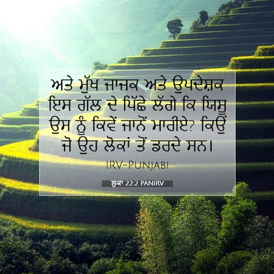 Picture 07 - ਲੂਕਾ 22:2 PANIRV - ਅਤੇ ਮੁੱਖ ਜਾਜਕ ਅਤੇ - Bible Verse Picture