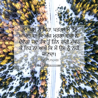 Picture 07 - ਲੂਕਾ 22:34 PANIRV - ਤਦ ਯਿਸੂ ਨੇ ਕਿਹਾ, - Bible Verse Picture