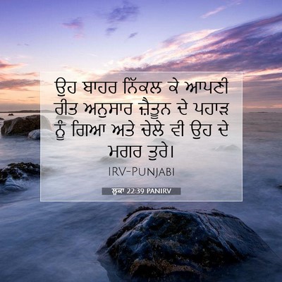 Picture 07 - ਲੂਕਾ 22:39 PANIRV - ਉਹ ਬਾਹਰ ਨਿੱਕਲ ਕੇ - Bible Verse Picture