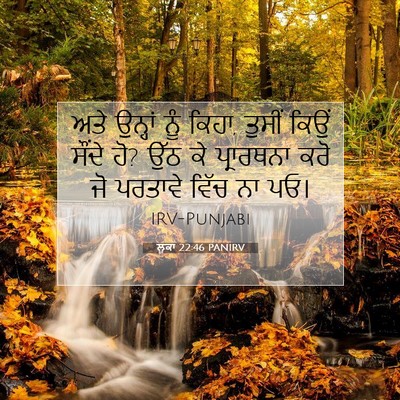 Picture 07 - ਲੂਕਾ 22:46 PANIRV - ਅਤੇ ਉਨ੍ਹਾਂ ਨੂੰ - Bible Verse Picture