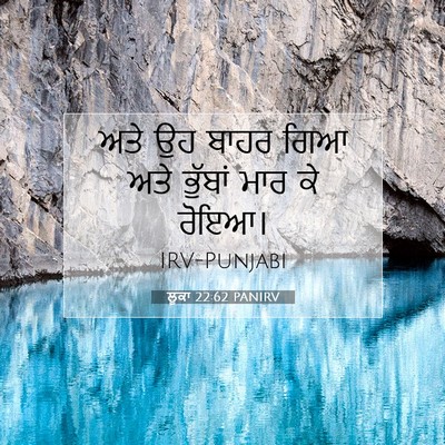Picture 07 - ਲੂਕਾ 22:62 PANIRV - ਅਤੇ ਉਹ ਬਾਹਰ ਗਿਆ ਅਤੇ - Bible Verse Picture