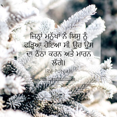 Picture 07 - ਲੂਕਾ 22:63 PANIRV - ਜਿਨ੍ਹਾਂ ਮਨੁੱਖਾਂ - Bible Verse Picture