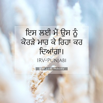 Picture 07 - ਲੂਕਾ 23:16 PANIRV - ਇਸ ਲਈ ਮੈਂ ਉਸ ਨੂੰ - Bible Verse Picture