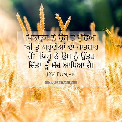 Picture 07 - ਲੂਕਾ 23:3 PANIRV - ਪਿਲਾਤੁਸ ਨੇ ਉਸ ਤੋਂ - Bible Verse Picture
